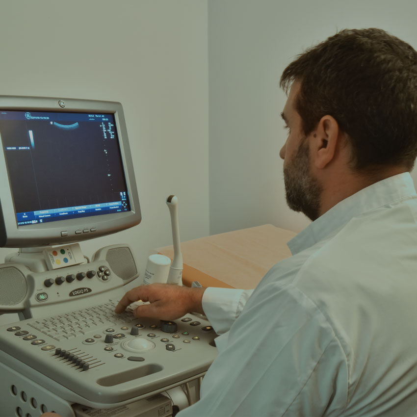 ULTRASOUND - Nitsos Lab