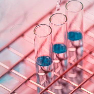 Biohimiko - Nitsos Lab