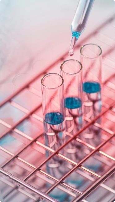 Biohimiko - Nitsos Lab